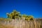 Old Fence In Horse Country