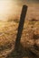 Old fence pole with barbed and electrical wire for livestock during sunset over a pasture