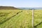 Old fence posts  alongside a footpath on Callow Bank in the Peak District