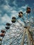 Old ferris wheel over sky background in an abandoned amusement park. Dark scene, ghost and empty carousel with no people for