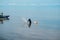 Old fisherman throws nets for fish on the beach