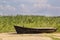 Old fishing boat on asphalt on the background of reeds