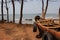 An old fishing boat in a pine forest on the shore of a warm sea