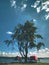 Old fishing rowing boat stacked upside down under tree at lake