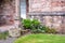 Old flower pots, flowers and ferns by a stone wall of a house