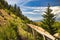 Old flume in the mountains of Montana