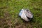 Old football boot rots on grass