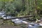 An old footlog crosses a white water stream in the Smokies.