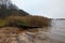 Old forgotten wooden boat at the lake shore, by dry water plants under cloudy sky