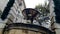 Old fountain in Matera with the water falling down and the drops bounce, historical monument and