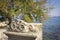 Old fountain with an ornament and a Tamarix Tree