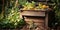 Old garden compost bin for organic material