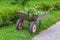 An old garden trolley with green nettles and other weeds