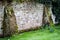 Old garden wall with brick butresses