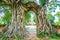 Old gate with banyan root called `Gateway to the passage of time` at ruins of Wat Phra Ngam, Phra Nakorn Si Ayutthaya,