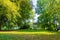 Old gazebo in a sunlit park