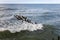 Old german breakwater on the Baltic Sea coast.