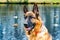 Old German Shepherd. Portrait on a background of a pond with ducks.