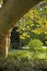 Old Giant Platanus acerifolia tree and yellow brown leaves in ea