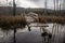 Old and gloomy wooden bridge over the river. Detachment in the water. Gloomy and mysterious forest. Cloudy sky.