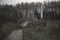 Old and gloomy wooden bridge over the river. Detachment in the water. Gloomy and mysterious forest. Cloudy sky.