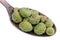 On the old golden spoon there is a dose of natural medicinal product - small green  buds acorns of oak tree isolated macro