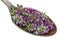On the old golden spoon there is a dose of natural medicinal product - small violet flowers of meadow thyme oregano  plant