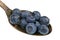 In the old golden spoon there is a small pile of food - ripe blueberries  garden fruits isolated macro