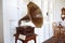 Old gramophone for decorating in vintage house