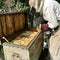 Old grandfather beekeeper works on his own rural apiary