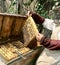 Old grandfather beekeeper works on his own rural apiary