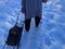 old grandmother drags a suitcase with wheels behind her and leans on a walking stick in the winter season.