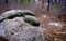 Old Granite Rock on Glacial Moraine Trail Footpath on Cape Cod