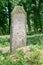 Old graves at The biggest Mennonite Cemetery in north of Poland.