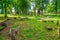 Old graves at The biggest Mennonite Cemetery in north of Poland.