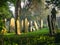 Old gravestones at Flaybrick Memorial Gardens / Cemetery in Birkenhead, UK