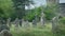 Old Graveyard And Church In The Rain