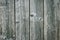 Old gray wooden floor, texture of boards, vertical lines on grunge wood fence. Hardwood carpentry