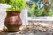 The old Greek clay jug on stones with plant and fallen leaves on the street