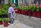 Old Greek Lady Painting Plant Pots