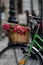 Old green bicycle with floral basket
