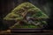 Old green bonsai tree on dark background, AI Generated