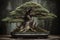 Old green bonsai tree on dark background, AI Generated