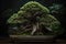 Old green bonsai tree on dark background, AI Generated