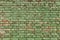 Old green brick wall, rustic texture, design background