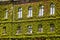 Old Green skyscraper building with plants growing on the facade