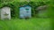 Old grey and blue wooden hives stand on dacha grass meadow