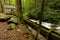 Old grist tub mill in the Great Smoky Mountains