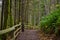 Old growth rain forest in Holland Creek trail in Ladysmith, Vancouver Island, Canada