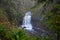 Old growth rain forest in Stocking Creek Waterfall park in Vancouver Island, British Columbia, Canada